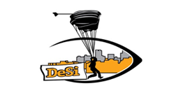 DeSi Academy